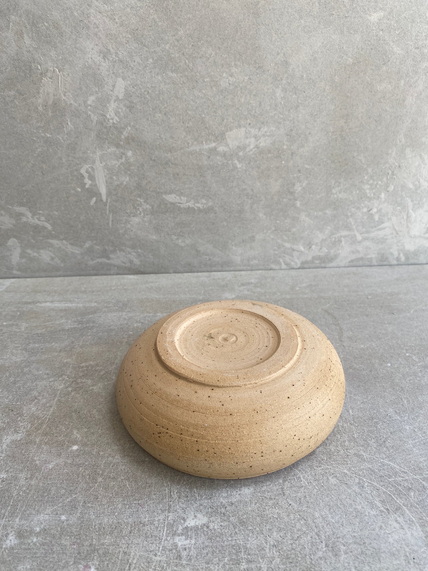 Dish