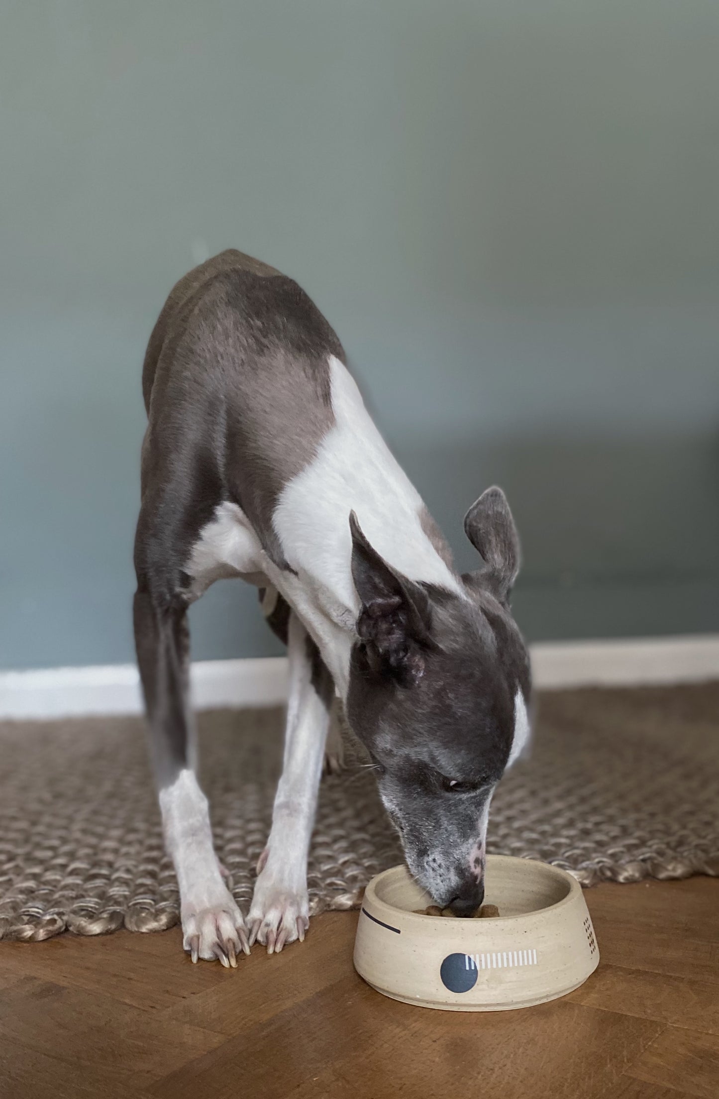 Stoneware Pet Bowl